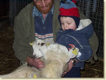 20060311-04 Bij opa en de nieuwe schaapjes 2